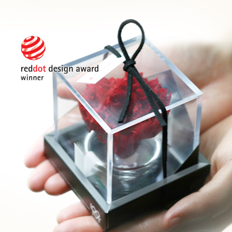 04_Love messenger carnation_1